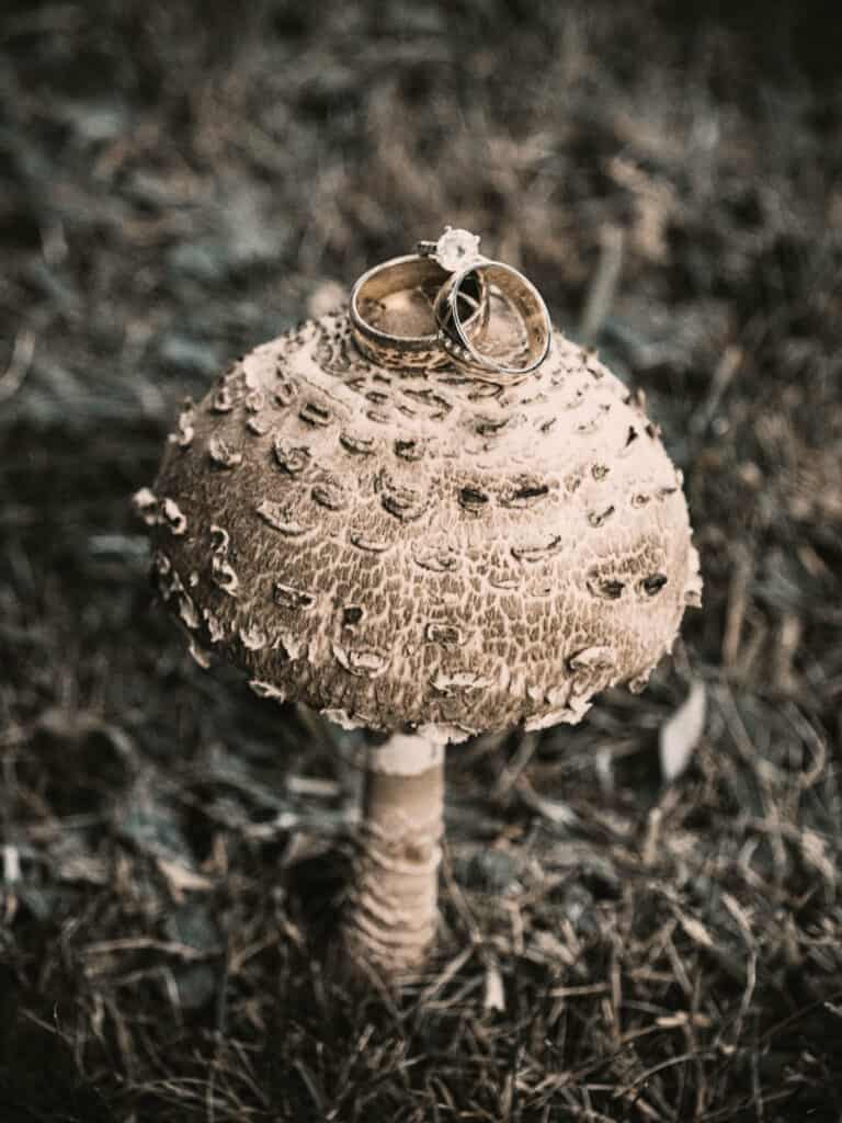 svadobná fotografia prstienky